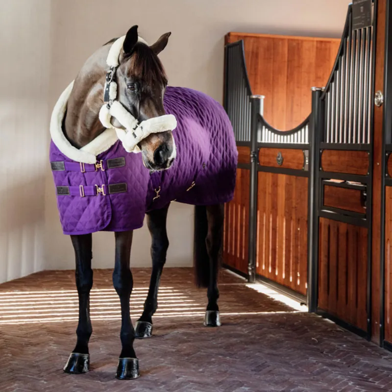 Kentucky Show Rug 160g Royal Purple